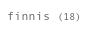 finnis (18)